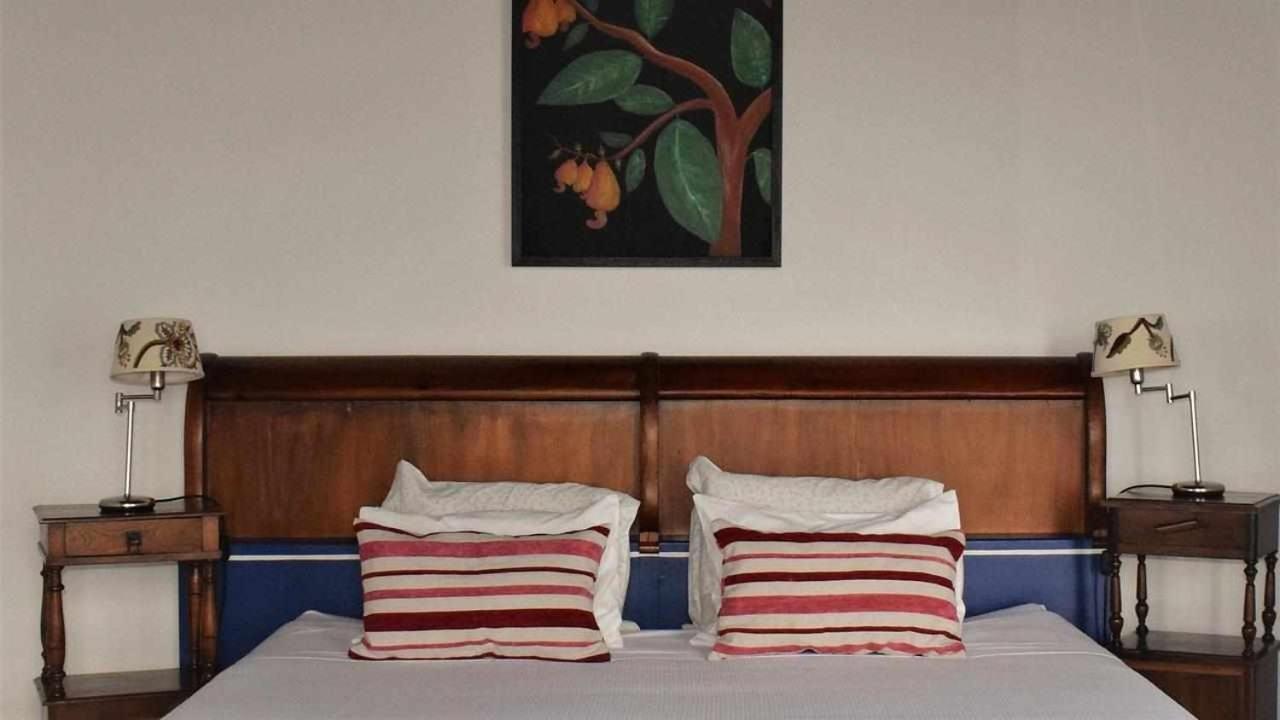 Quinta Da Meia Eira Castelo Branco  Luaran gambar