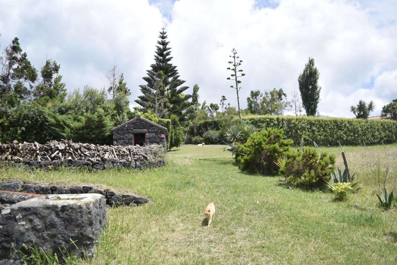 Quinta Da Meia Eira Castelo Branco  Luaran gambar
