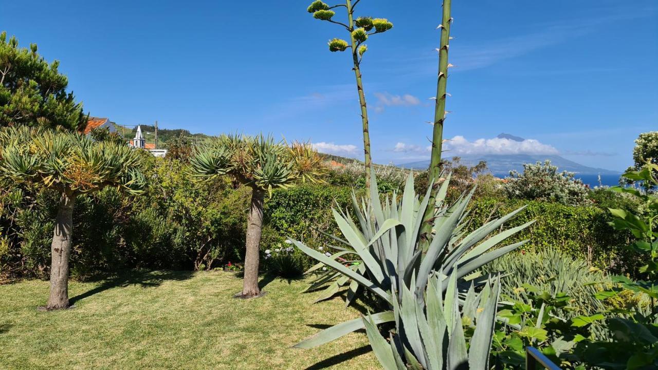 Quinta Da Meia Eira Castelo Branco  Luaran gambar