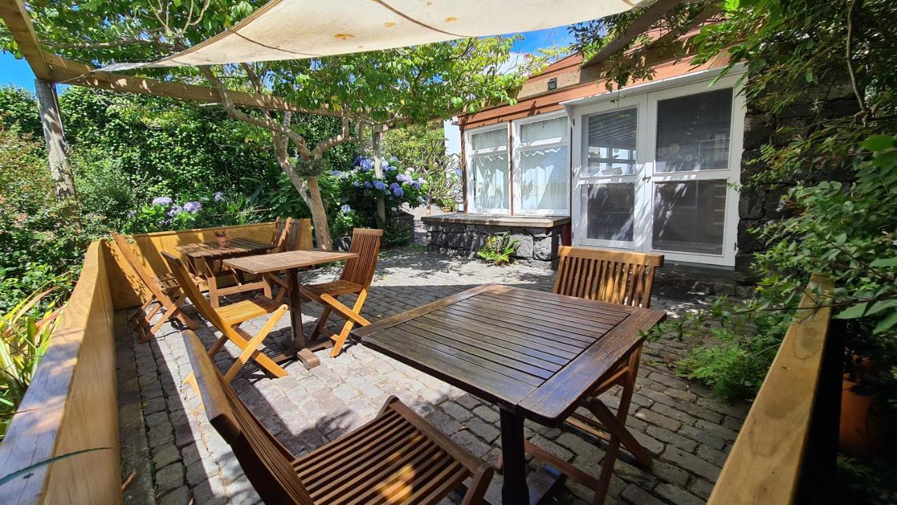 Quinta Da Meia Eira Castelo Branco  Luaran gambar