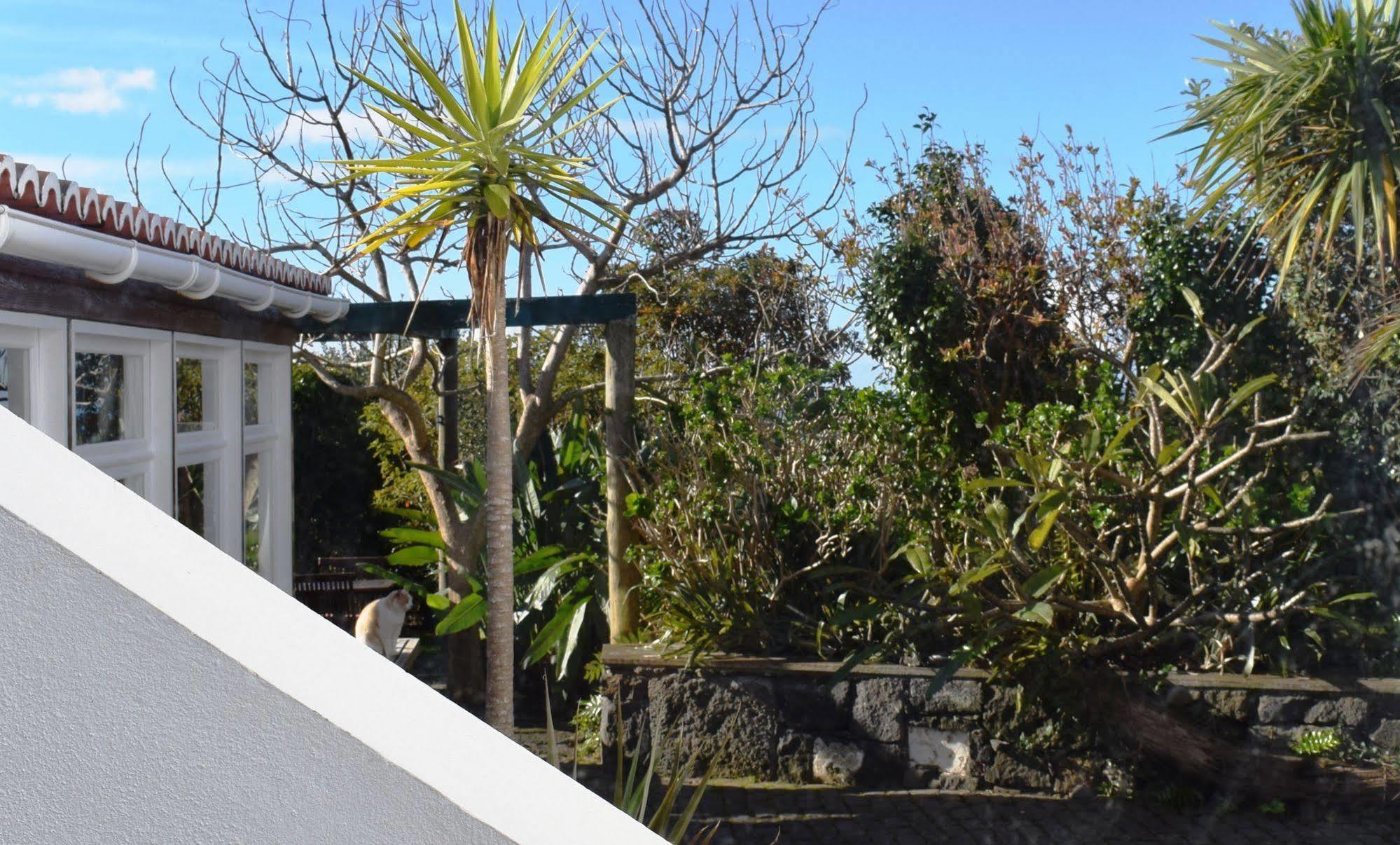 Quinta Da Meia Eira Castelo Branco  Luaran gambar